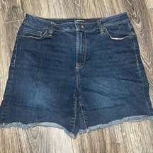 G.H. Bass & Co Blue Denim Shorts