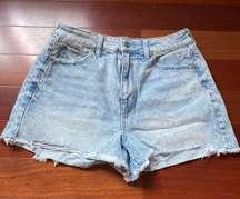 Outfitters Shorts