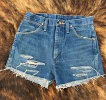 Hand Distressed  Shorts