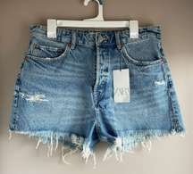 High Rise Shorts