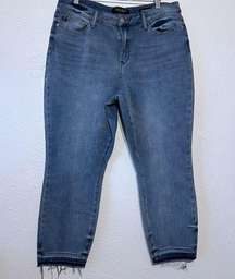 Judy Blue Jeans Women's Boyfriend Fit Size 15/32 Blue Denim Fray Hem High Rise