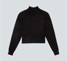 Everlane The Luxe Merino Turtleneck in Black M