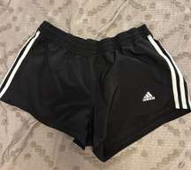 Black Shorts