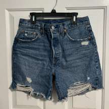 501 Shorts