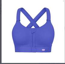 Dazzling Blue Flex Sports Bra - 1XL