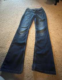 Regular Fit Bootcut Jeans