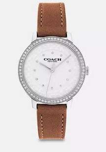 COACH Rayden watch ✨