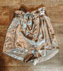 Metallic Shorts