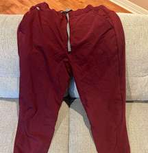 Fig jogger scrub pants