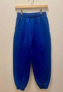 Brandy Melville Blue Sweatpants - one size