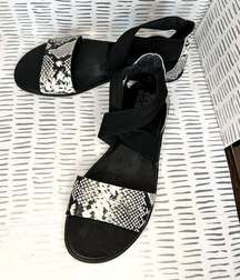 Women's Ella II Sandal size 7