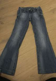 Low Rise Flare Jeans