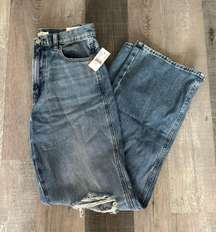 NWT Pac-sun Baggy Jeans