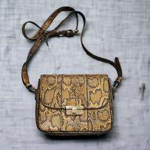 NEXT Crossbody Bag in Brown Snake Print