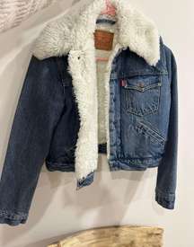 Sherpa-Lined Denim Trucker Jacket