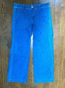 Pilcro wide leg jeans number 8 / 32” inseam