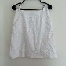 Banana Republic White Lace Pencil Skirt Size 2