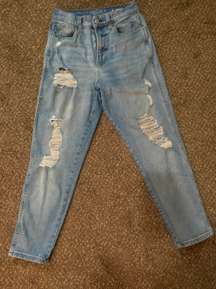 Arizona Vintage Mom Jeans