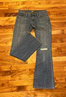 Low Rise Flared Jeans