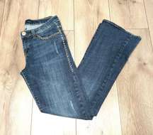 Kasandra Gold Studded Bootcut Jeans Size 8