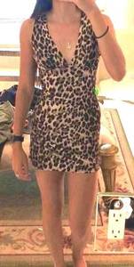 Leopard Print Dress