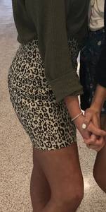 Cheetah Skirt