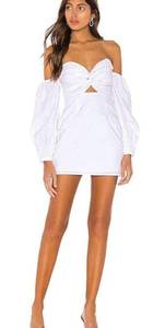 Flynn Ruched Sleeve Dress