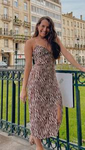 Brown And Crème Zebra MIDI Dress 