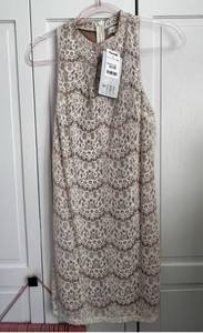 NWT Lace And Cream Dress