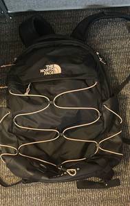 Borialis Backpack