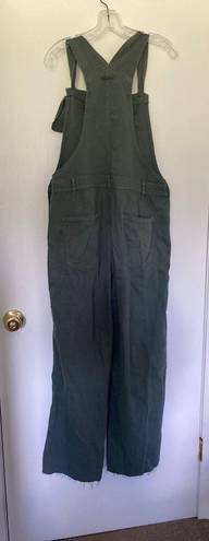 Aerie Olive Green Overalls