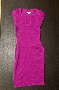 Women’s Purple Dress