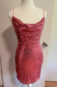 Windsor Pink Sequined Dress