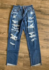 American Eagle Outfitters Mom Jeans