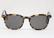 Warby Parker Durand Oversize Oval Tortoise Shell Frame Black Lenses Sunglasses