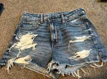 American Eagle Outfitters Denim Mom Shorts