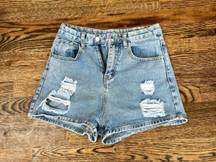 Embroidered Denim Shorts