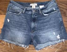 Label of  Graded Goods By H&M Denim Shorts