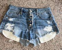 American Eagle High-Waisted Denim Jean Shorts