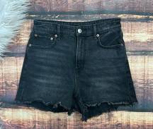 American Eagle Black Denim Shorts