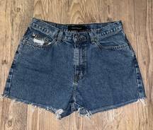 Calvin Klein Distressed Vintage Jean Shorts