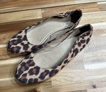 Cheetah flats