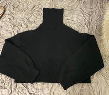 H&M Black Cropped Turtle Neck