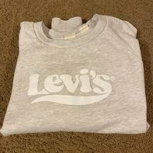 Levis oversized soft crew neck