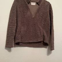 Sky and sparrow puppy fall brown pullover