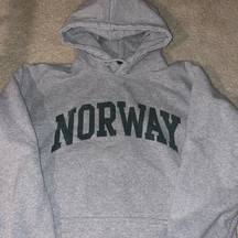 Brandy Melville Norway Boyfriend Hoodie