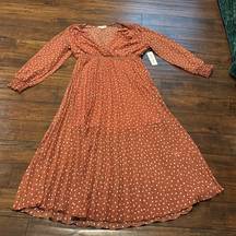 NWT Indigo Rose Polka Dot Dress