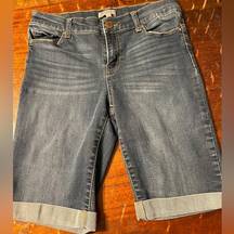 Flaunt It Bermuda Denim Shorts Size 6