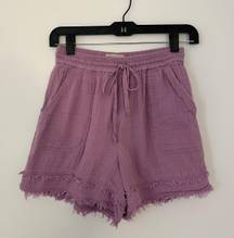 Saturday/Sunday Purple Linen Shorts X-Small