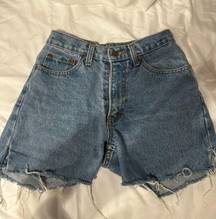 Vintage Long Summer Jean Shorts 